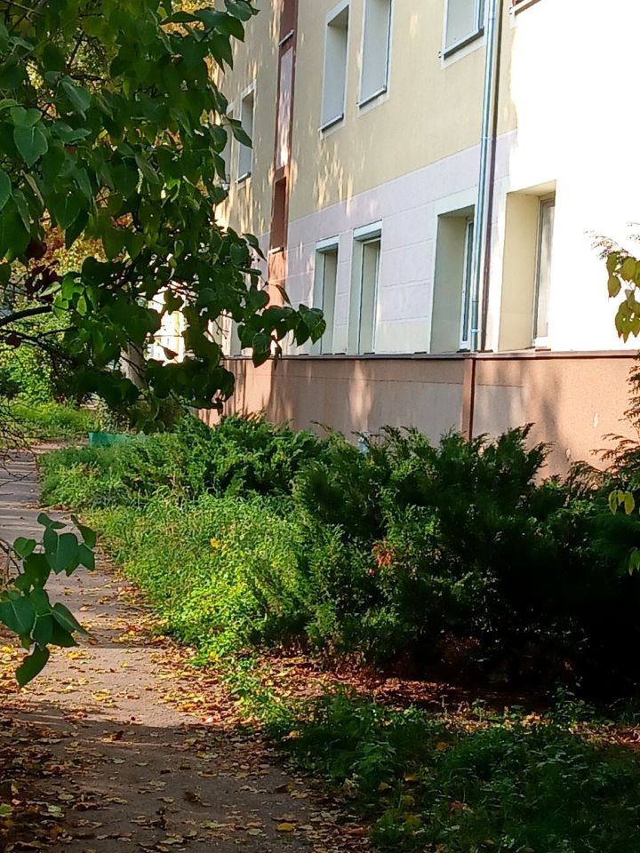 Mieszkanie 2-pokojowe Bydgoszcz Osiedle Leśne, ul. Jodłowa. Zdjęcie 5