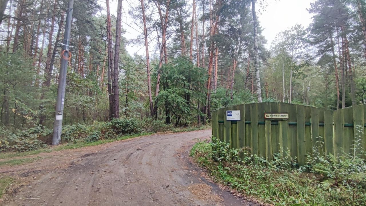 Działka leśna Ostrybór. Zdjęcie 3