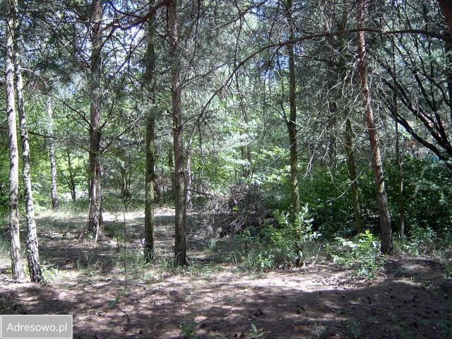 Działka budowlana Tuczno. Zdjęcie 1