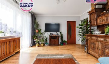 dom wolnostojący, 7 pokoi Borkowo, ul. Kasztanowa