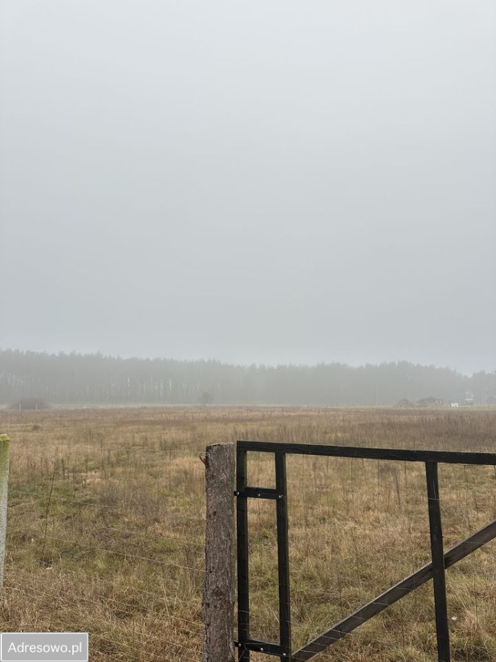 Działka budowlana Zatom Nowy. Zdjęcie 2