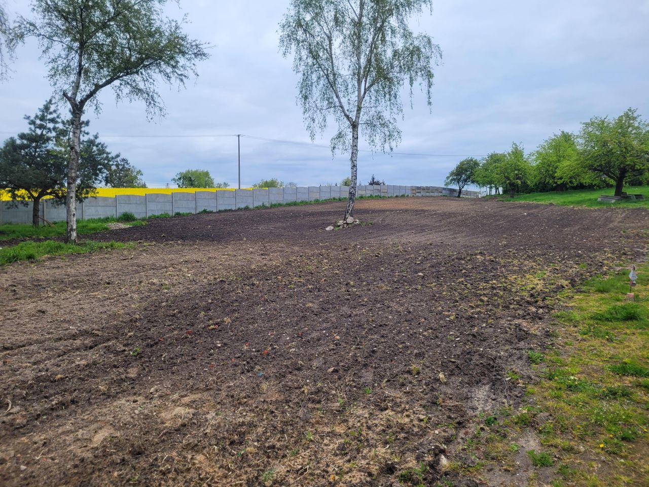 Działka budowlana Brzyskorzystew, Brzyskorzystew. Zdjęcie 6