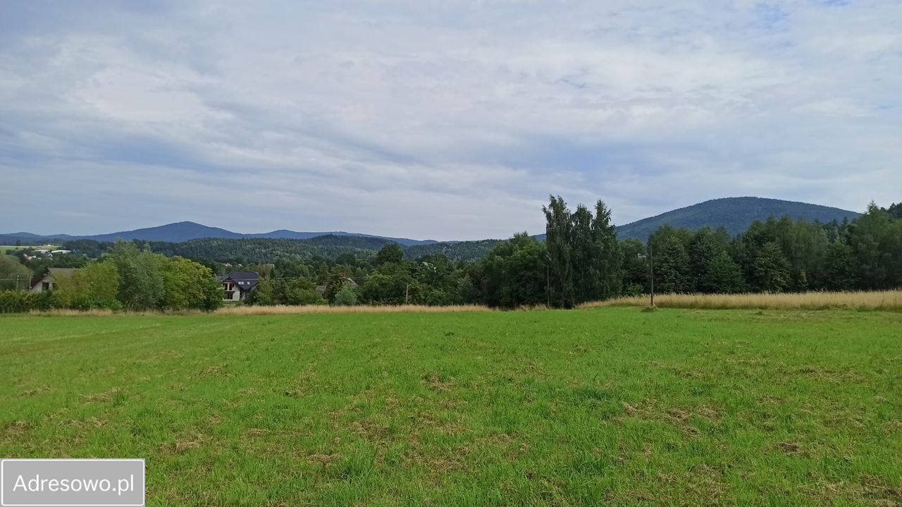 Działka budowlana Brzezinka, ul. Polna. Zdjęcie 6