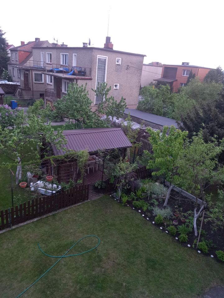 Pokój Krzyż Wielkopolski Centrum, ul. Letnia. Zdjęcie 3