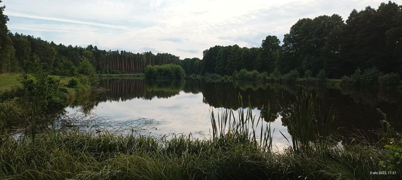 Działka rekreacyjna Pszczółki. Zdjęcie 3