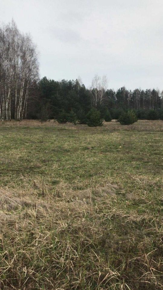 Działka budowlana Sosnówka. Zdjęcie 6