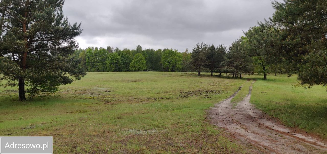 Działka rolna Rogóźno