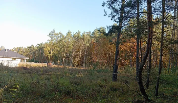 Działka budowlana Głowno, ul. Jana Pawła II