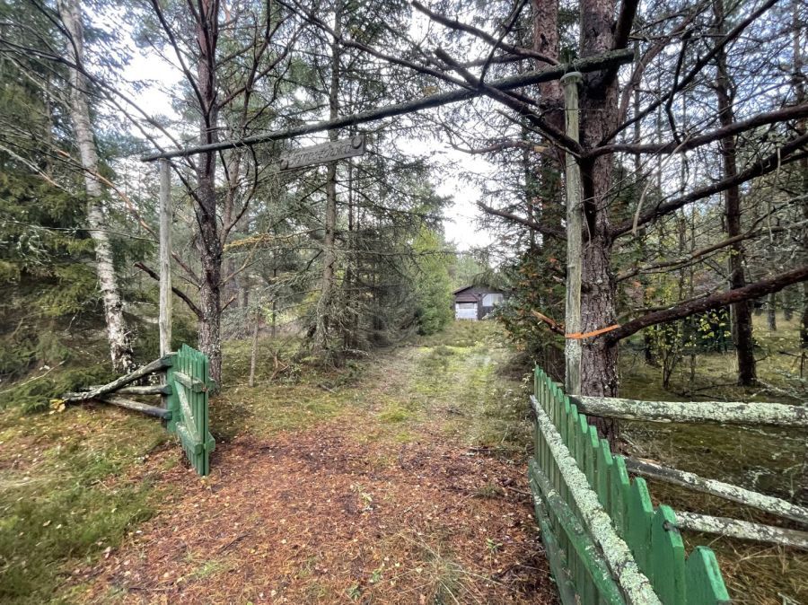 Działka rekreacyjna Kłączno. Zdjęcie 2