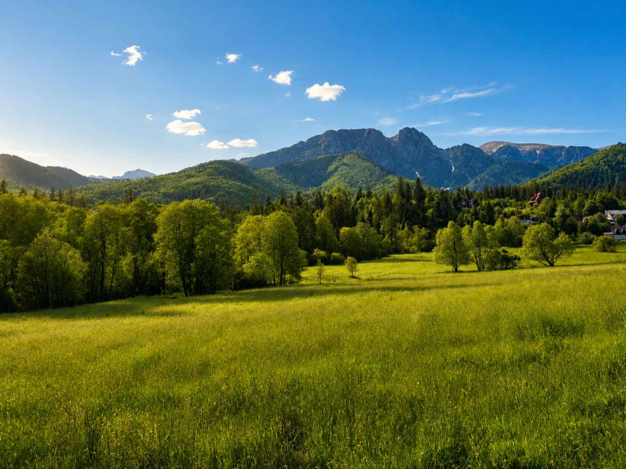 Działka rolna Zakopane, ul. Droga na Wierch. Zdjęcie 3
