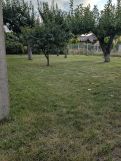 Działka rod Międzychód. Zdjęcie 3