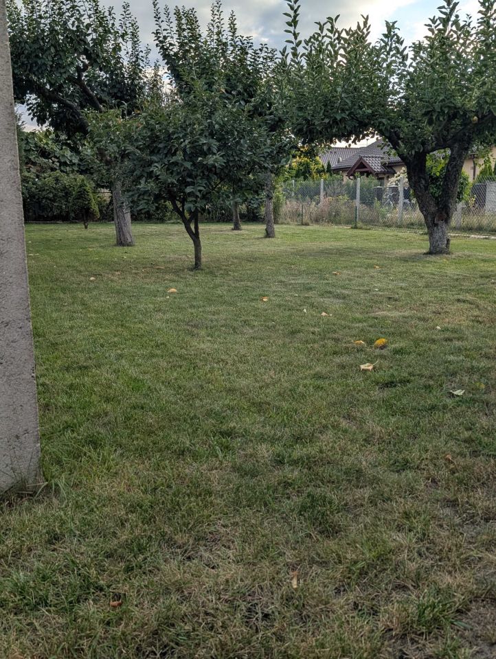 Działka rod Międzychód. Zdjęcie 4