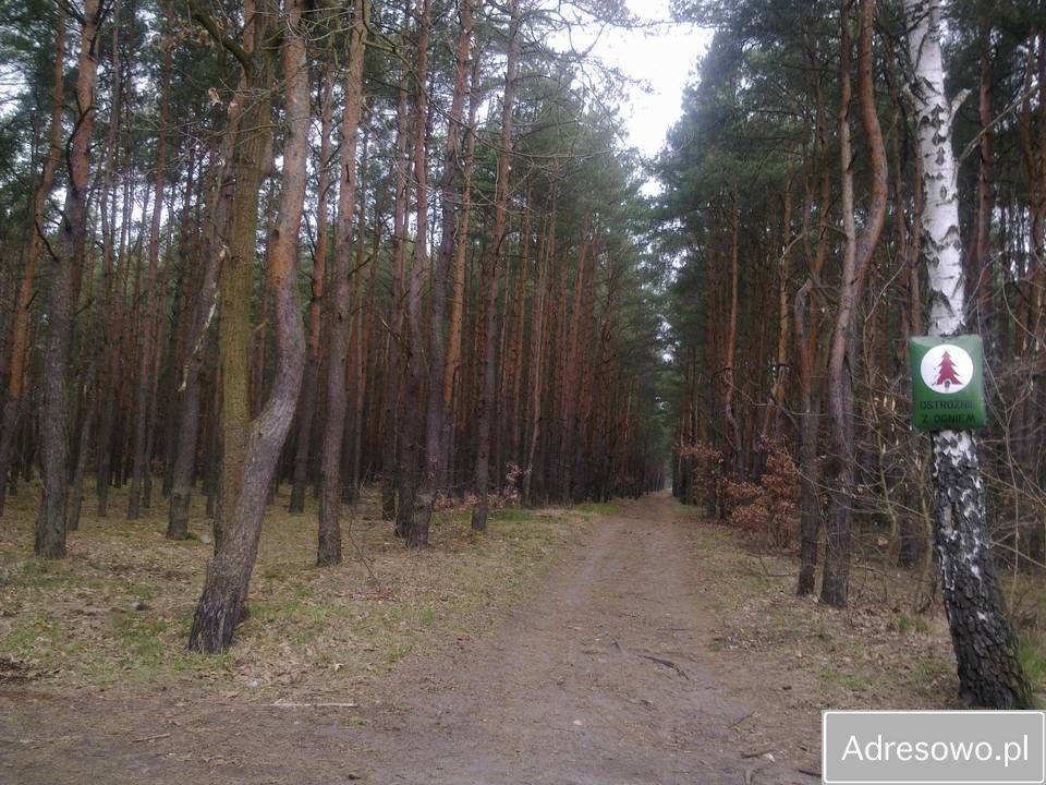 Działka leśna Warszawa Rembertów