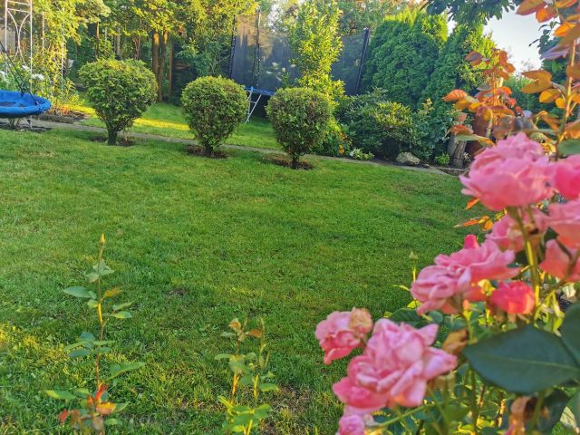 Działka rekreacyjna Konin, ul. Świętojańska. Zdjęcie 1