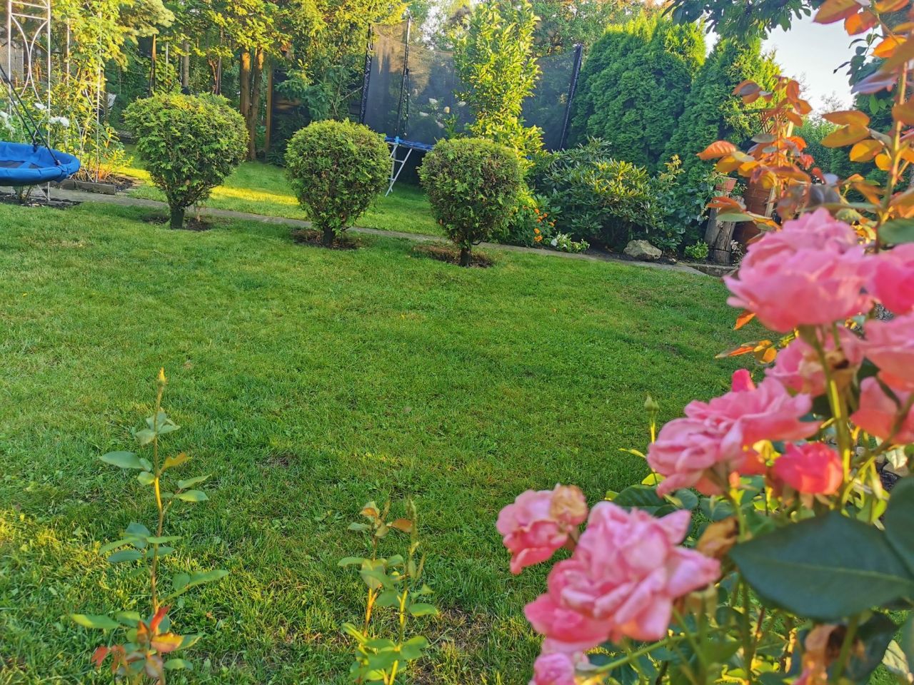 Działka rekreacyjna Konin, ul. Świętojańska