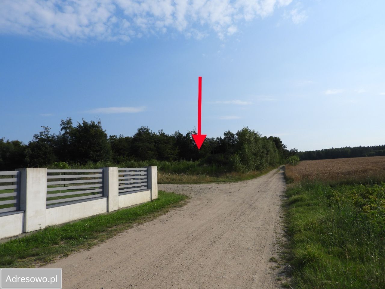 Działka rolno-budowlana Werblinia, ul. Leśna