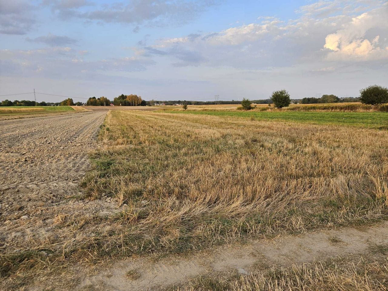 Działka rolna Iwanowice Małe. Zdjęcie 5