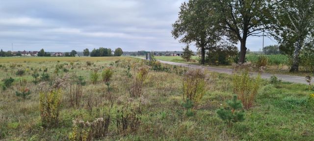 Działka budowlana Pogorzałe Ługi. Zdjęcie 11