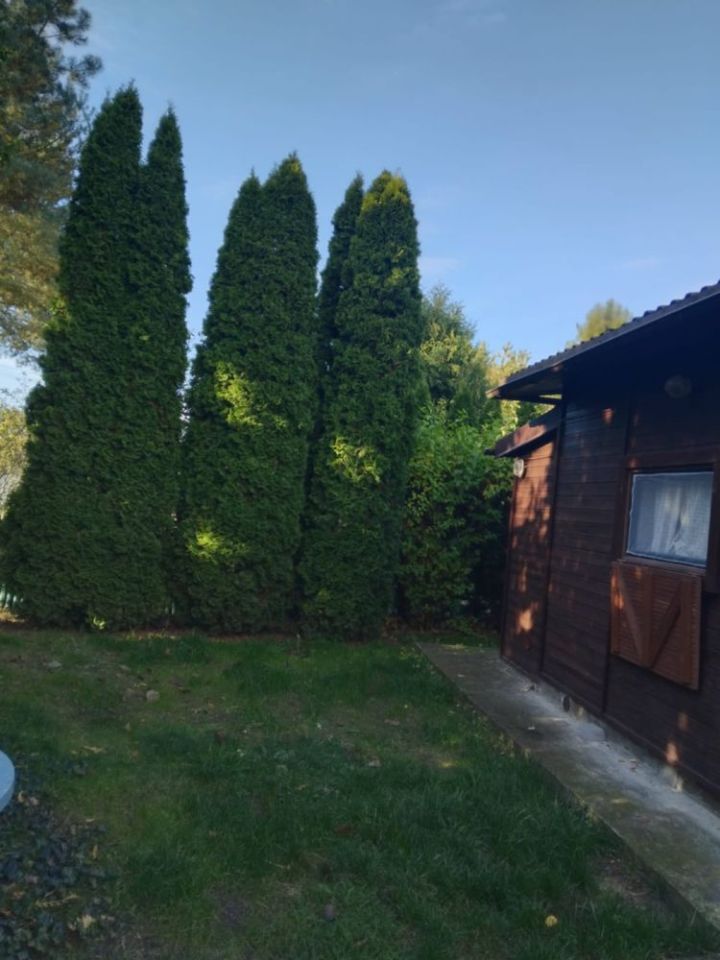 Działka rod Łomianki. Zdjęcie 2