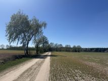 Działka budowlana Skrzynka. Zdjęcie 1