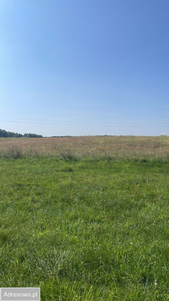 Działka budowlana Sikorz. Zdjęcie 1