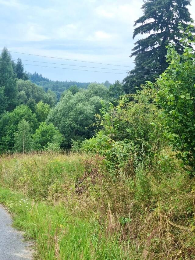dom wolnostojący, 3 pokoje Wyszki. Zdjęcie 11