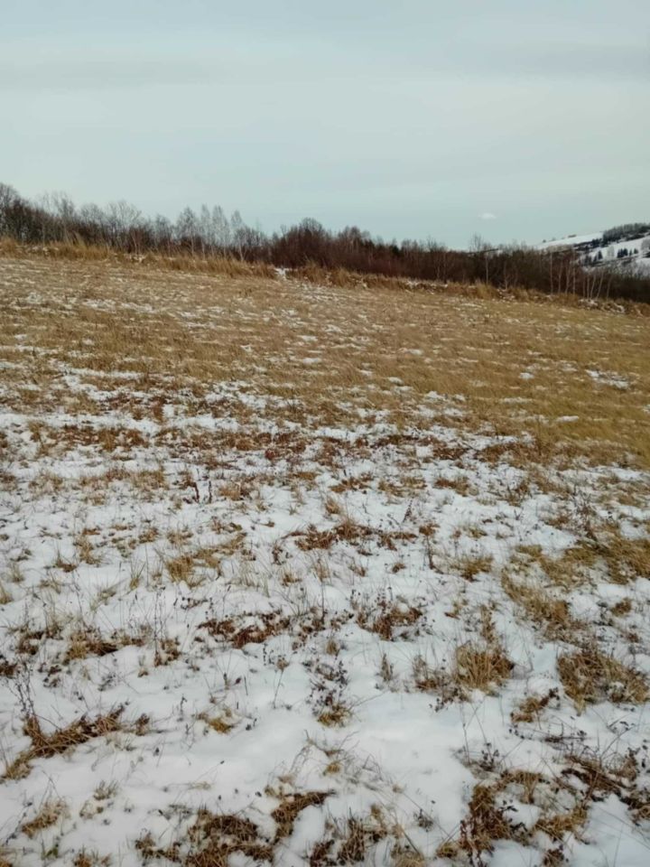 Działka rolna Końskie. Zdjęcie 2