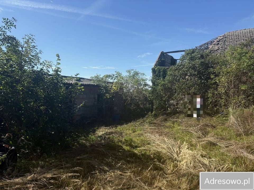 Działka rolno-budowlana Sobiałkowo. Zdjęcie 5