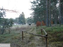 Działka Dymin. Zdjęcie 1