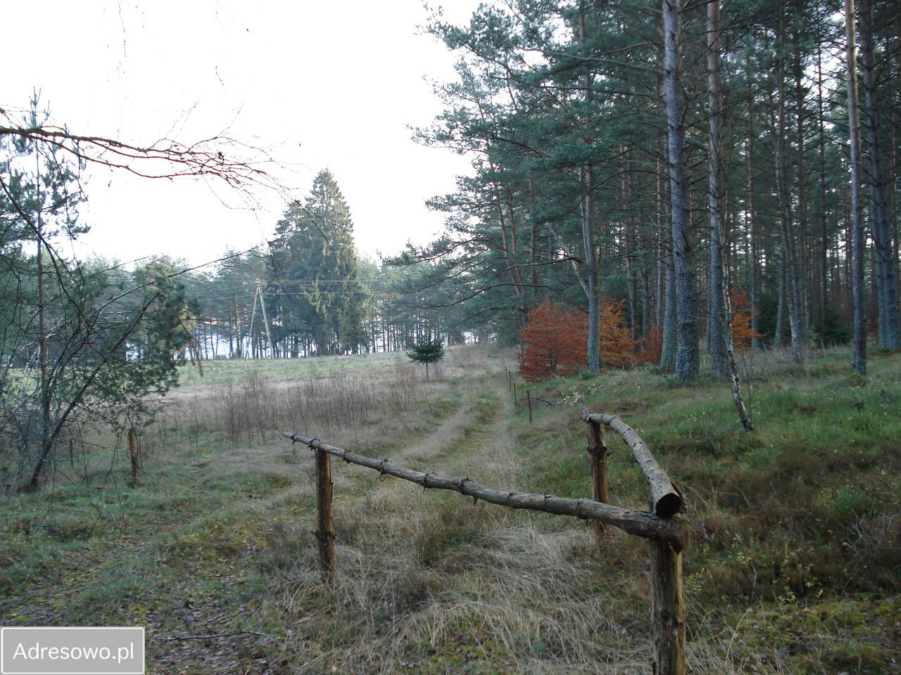 Działka Dymin. Zdjęcie 2