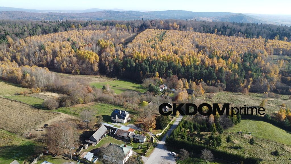 Działka rolna Cisów. Zdjęcie 3
