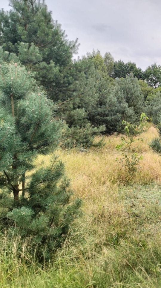 Działka budowlana Jarszewko. Zdjęcie 2