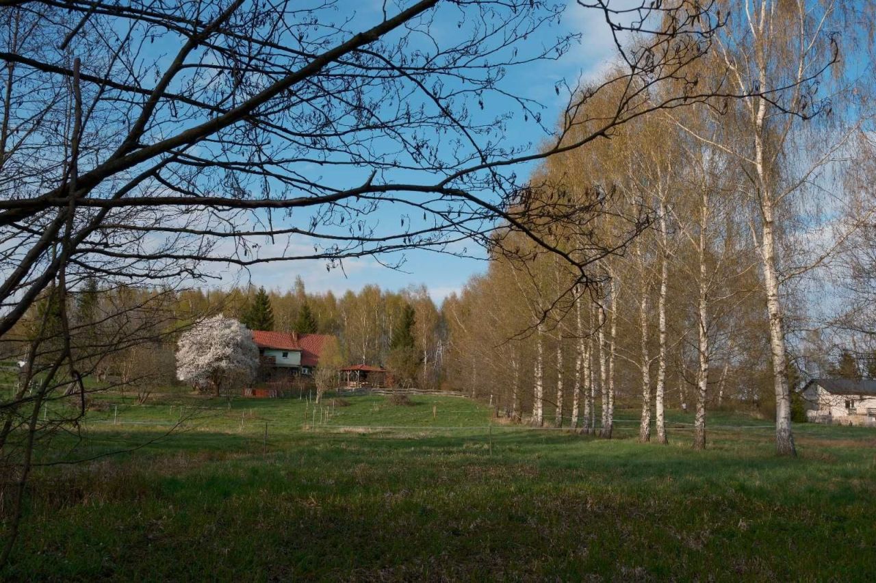 siedlisko Chocieszów. Zdjęcie 7
