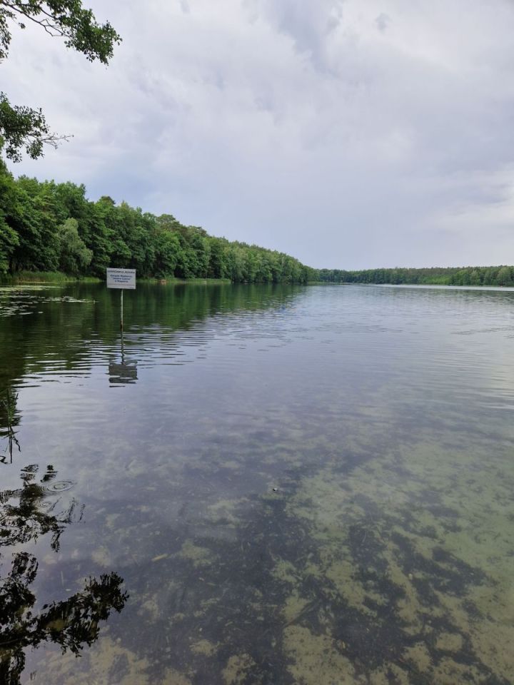 Działka budowlana Grzybowo. Zdjęcie 8