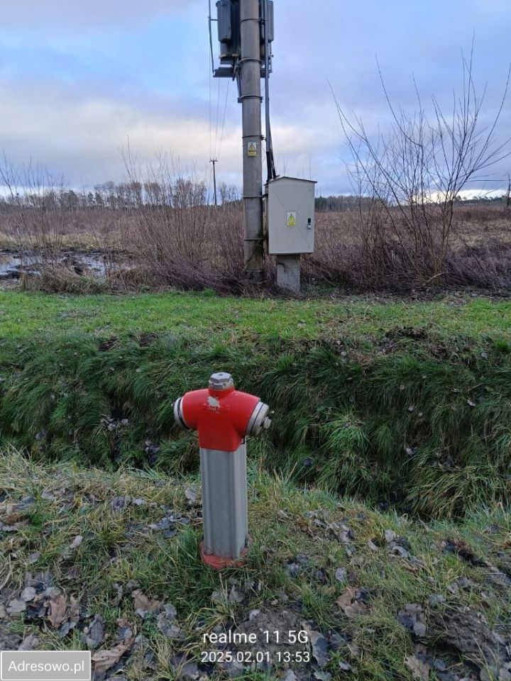 Działka rolno-budowlana Żółwia Błoć. Zdjęcie 2