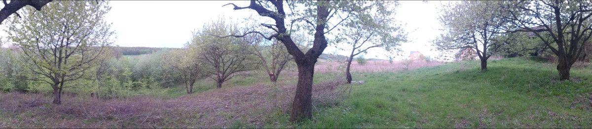 Działka siedliskowa Maszków, ul. Zamoście. Zdjęcie 11