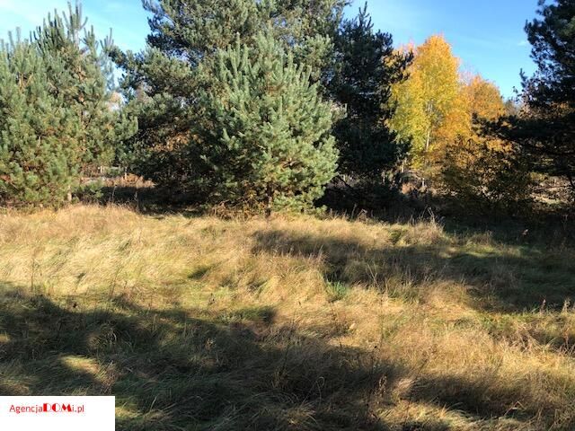 Działka budowlana Marynin. Zdjęcie 7