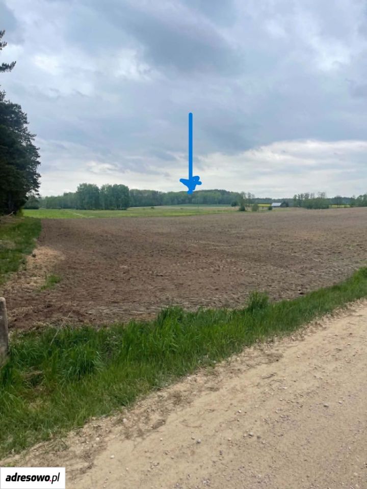 Działka rolna Miniewicze. Zdjęcie 3