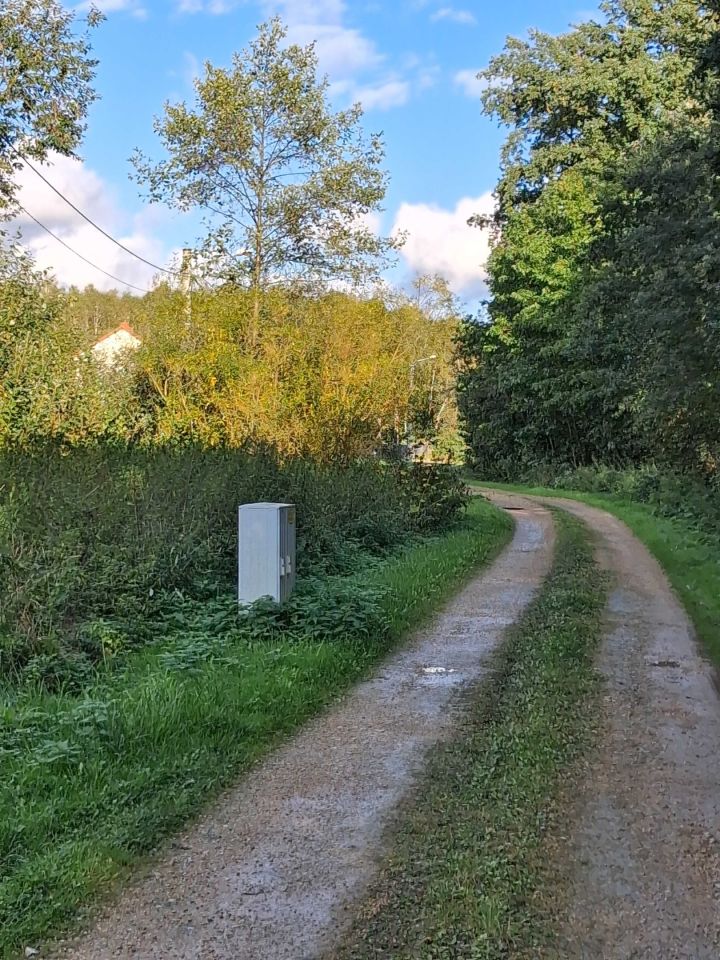 Działka Skrzydlów. Zdjęcie 8