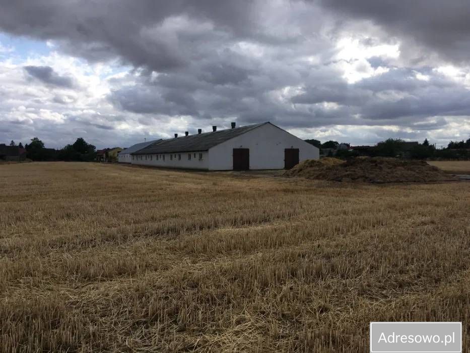 gospodarstwo Huta. Zdjęcie 6