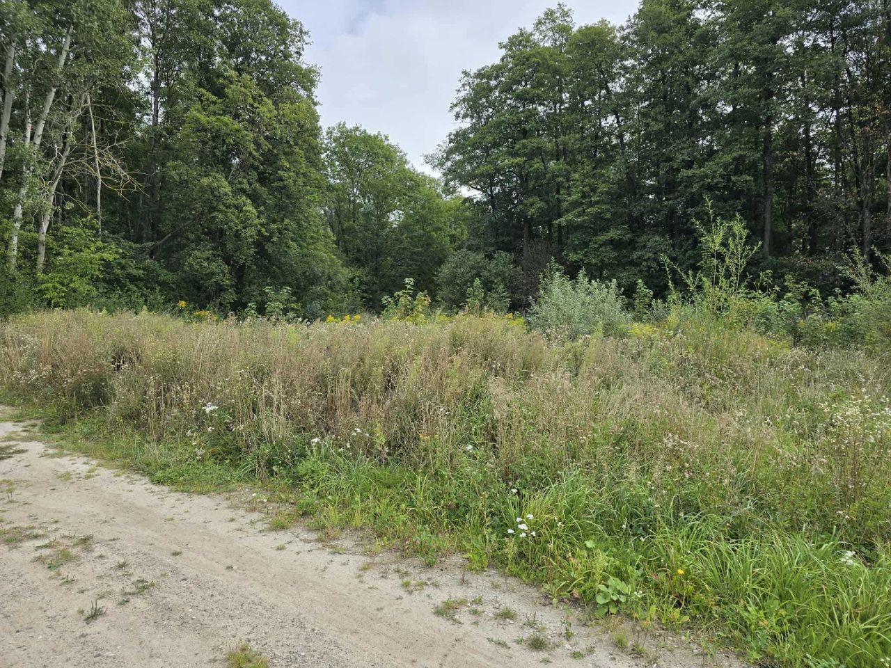 Działka budowlana Mieszki-Różki. Zdjęcie 2