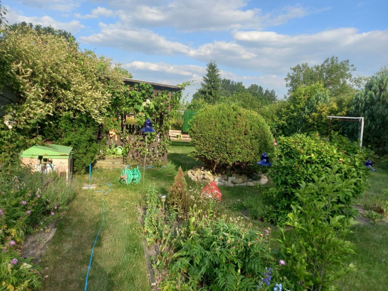 Działka rekreacyjna Nowa Sól. Zdjęcie 5