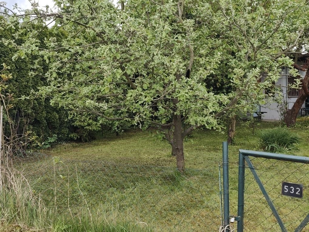 Działka rod Poznań Ogrody. Zdjęcie 7