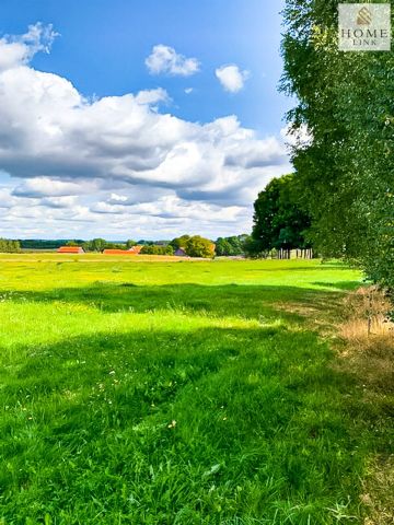 Działka rolna Jarandowo. Zdjęcie 10