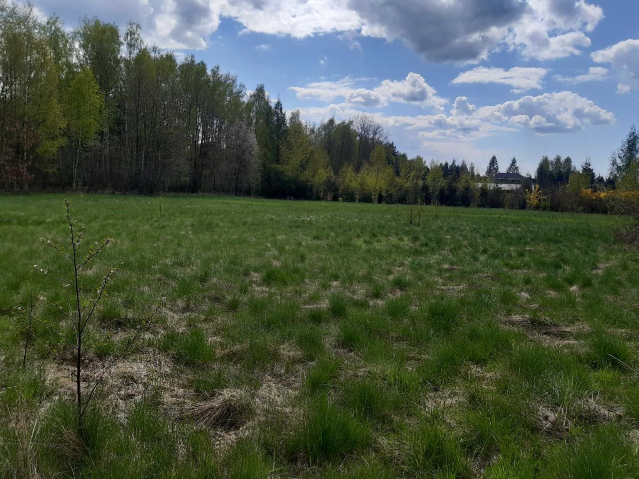 Działka Krasne Kosów. Zdjęcie 6