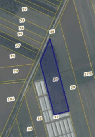 Działka rolna Kadłubska Wola. Zdjęcie 1