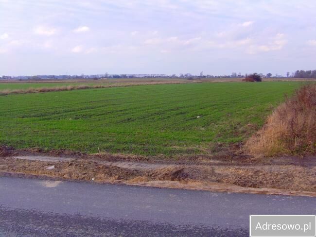 Działka inwestycyjna Wiskitki. Zdjęcie 5