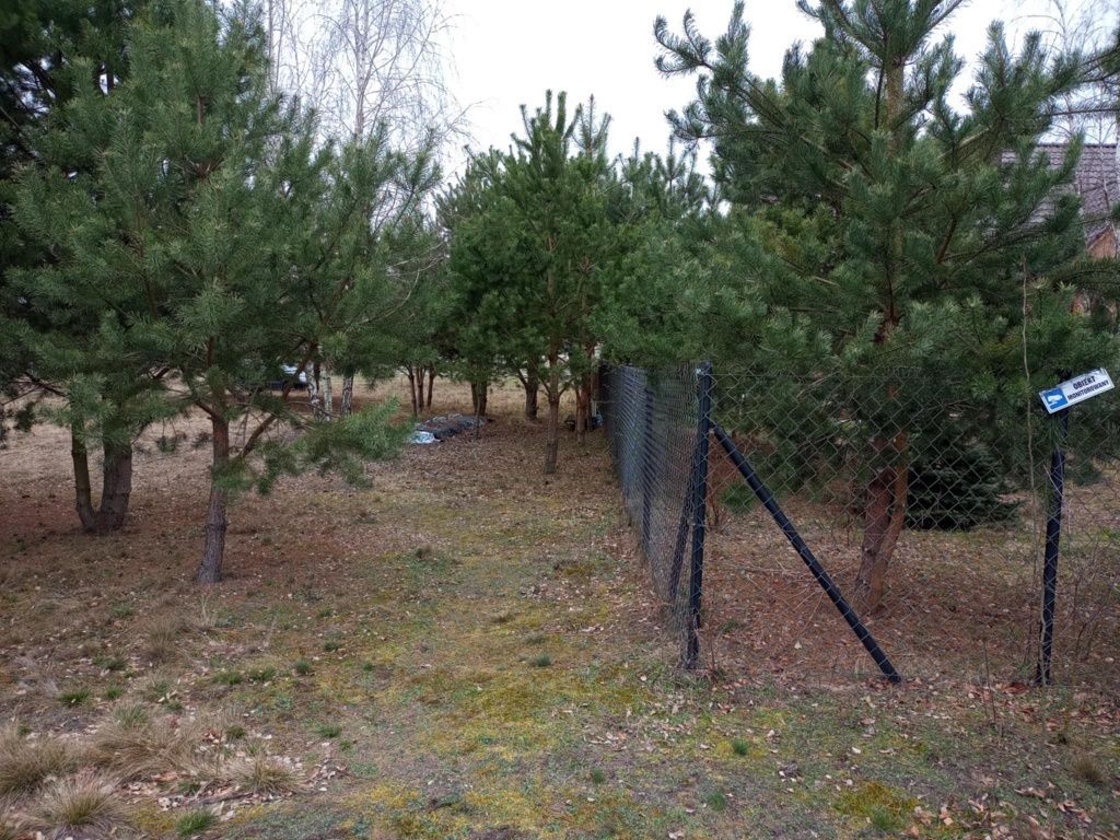 Działka budowlana Zdziechów. Zdjęcie 5