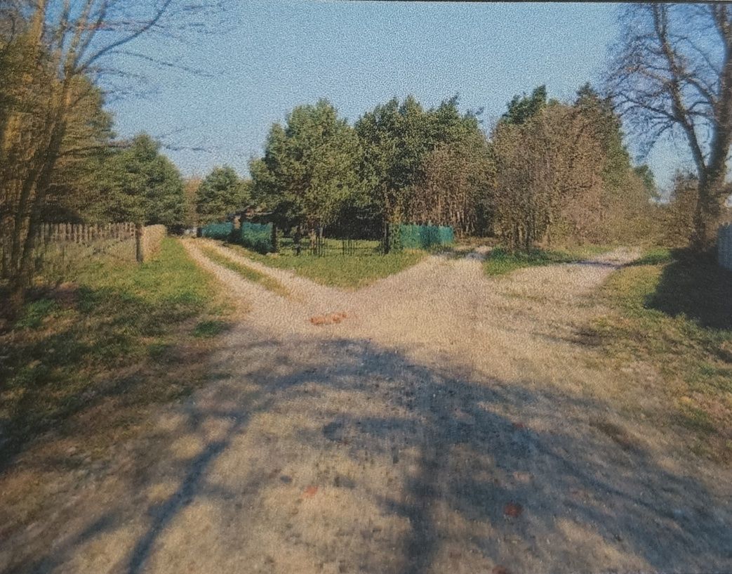 Działka leśna Moczalec. Zdjęcie 3