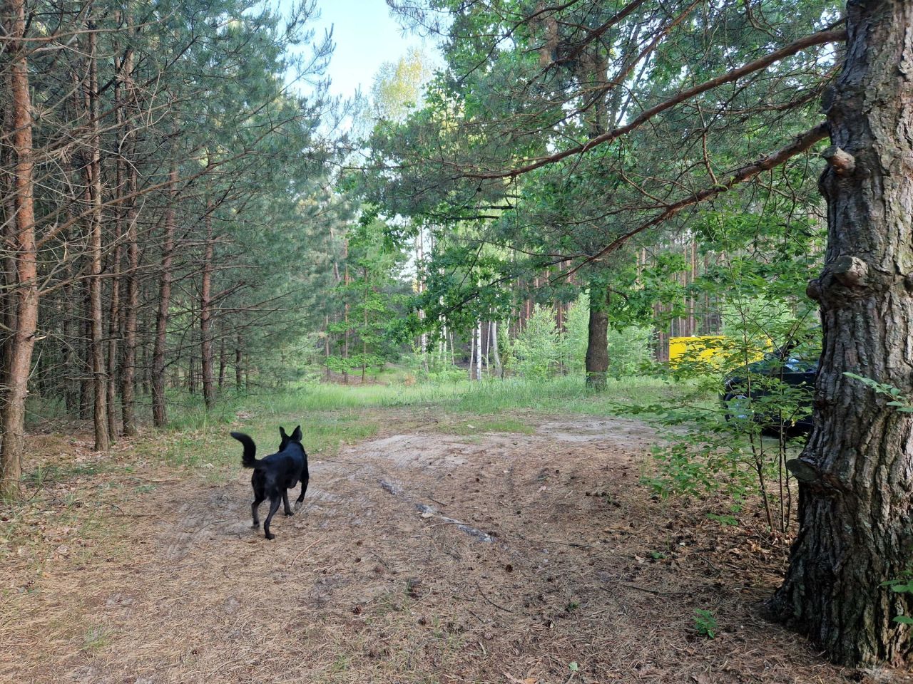 Działka budowlana Smólnik. Zdjęcie 2